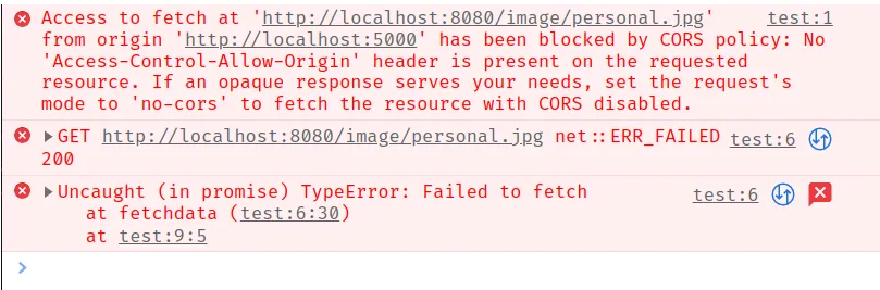 Failed request response showing a CORS error